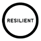 100 Resilient Cities 