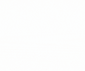 stq2_p_towncounty1_animated_2025_mobile.gif 