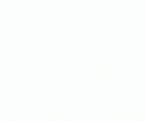 stq2-p-towncounty3-animated-2025-mobile