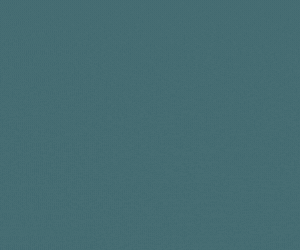 Transform Government CTA mobile