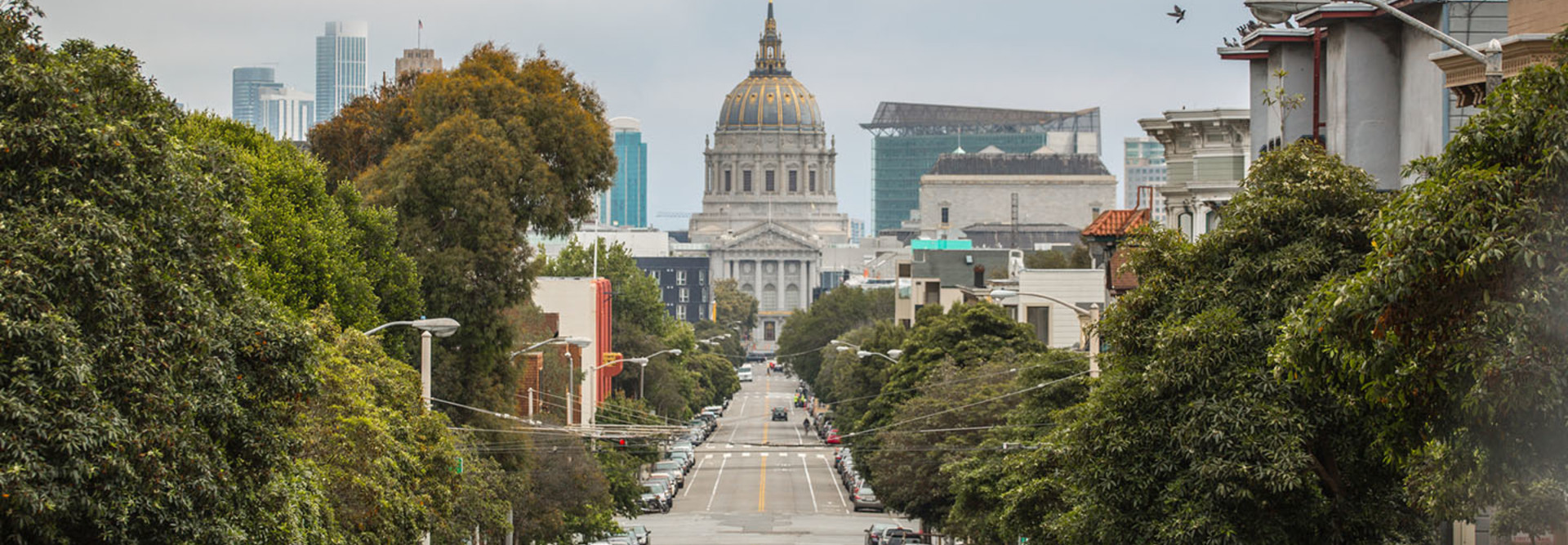 San Francisco city hall building