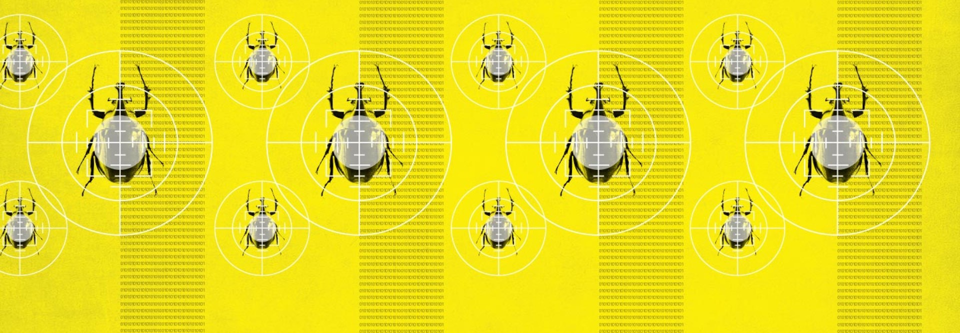 Beetles crawling up a yellow background