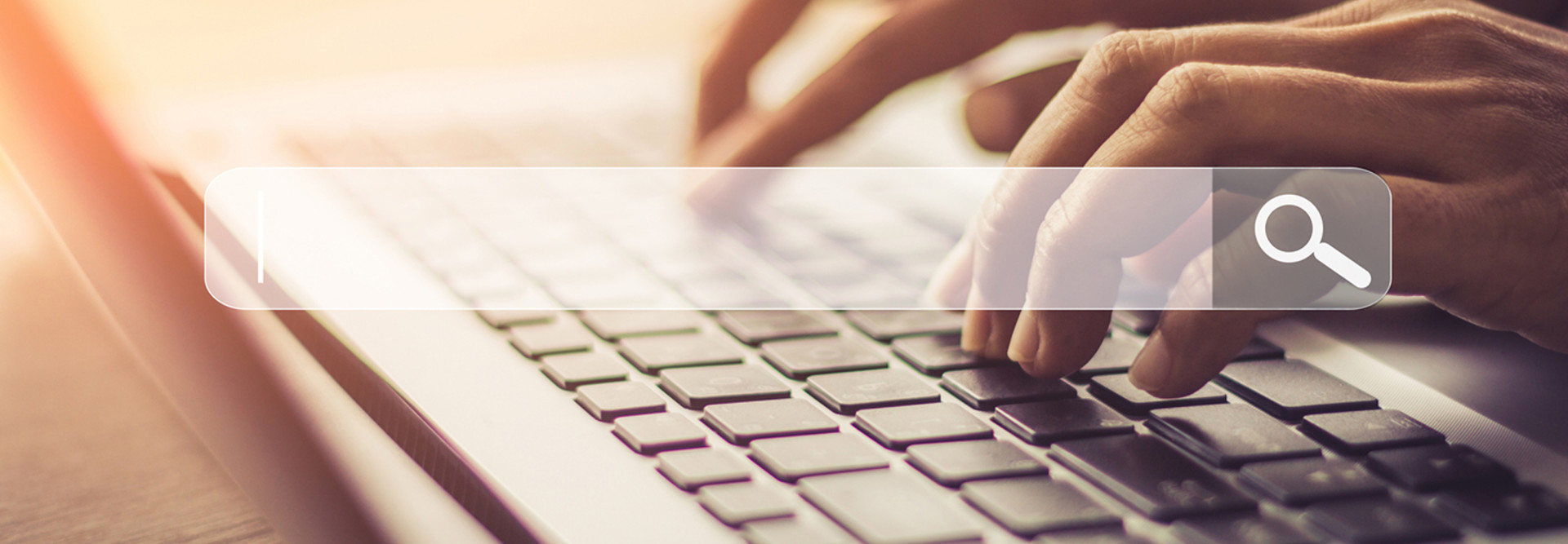 Person logging onto a website on a laptop with a search bar over the image 