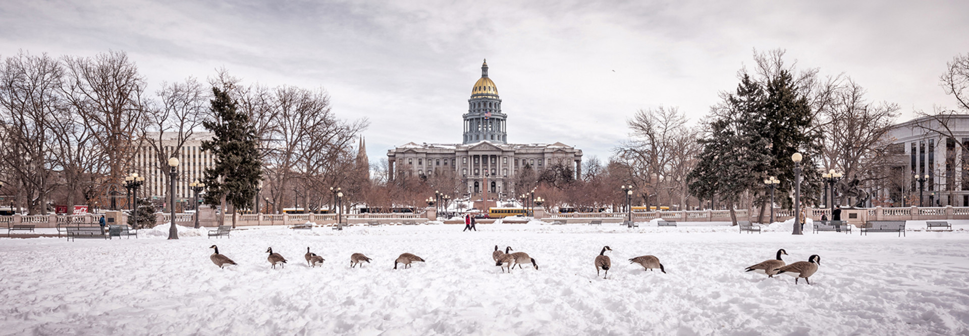 The Colorado State Capitol in Denver. 