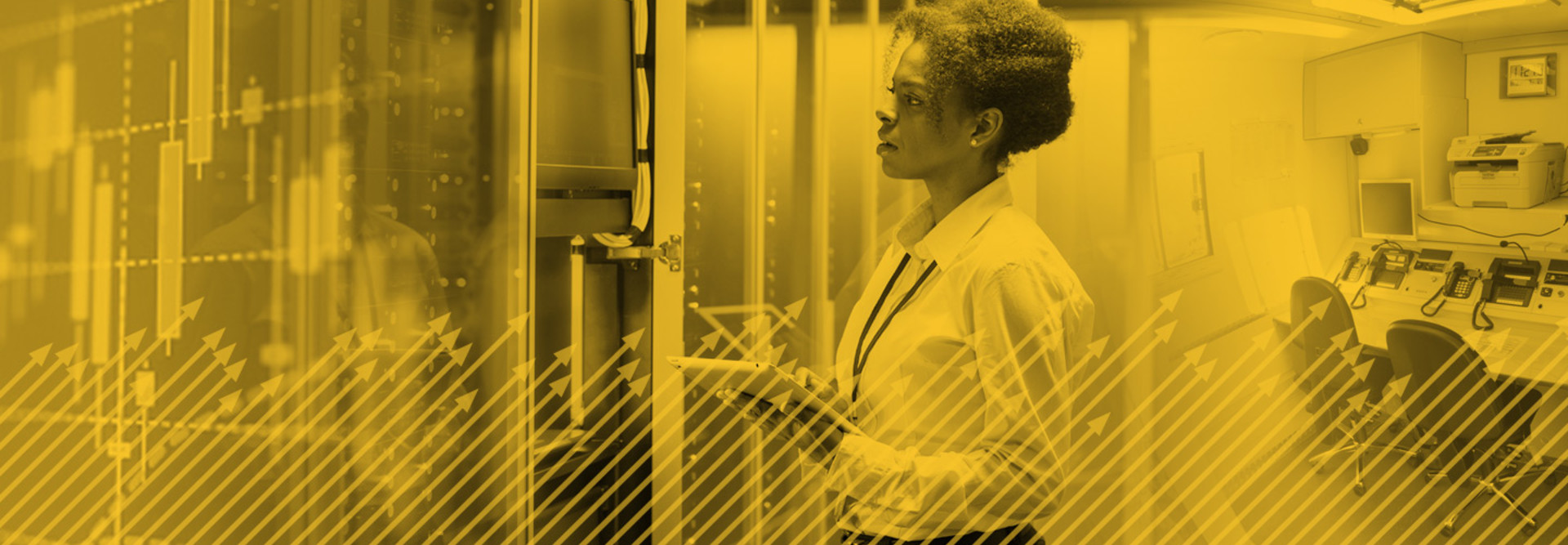 State and Local IT Investments 