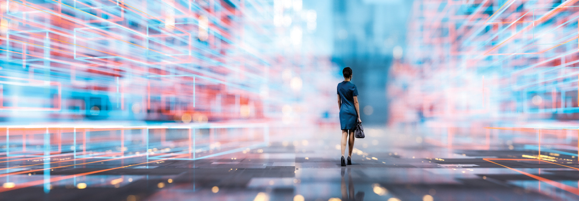 Single digital identity 