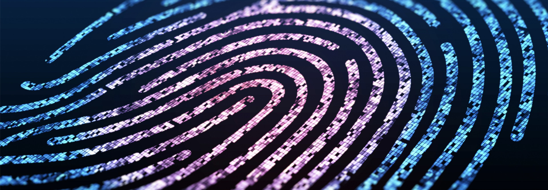 Conceptual fingerprint