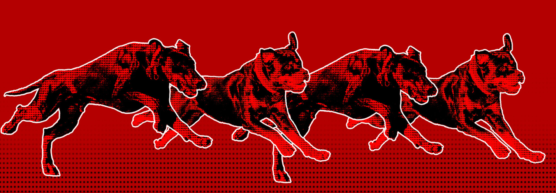 Imagery of dogs on the move sniffing out security vulnerabilities.