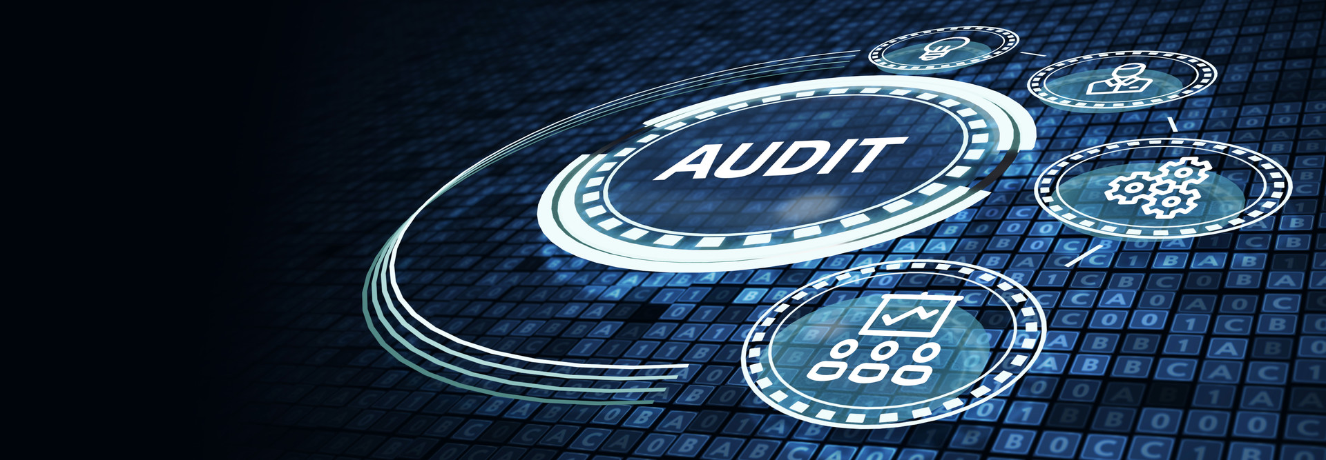 Business, Technology, Internet and network concept. Audit business and finance concept.