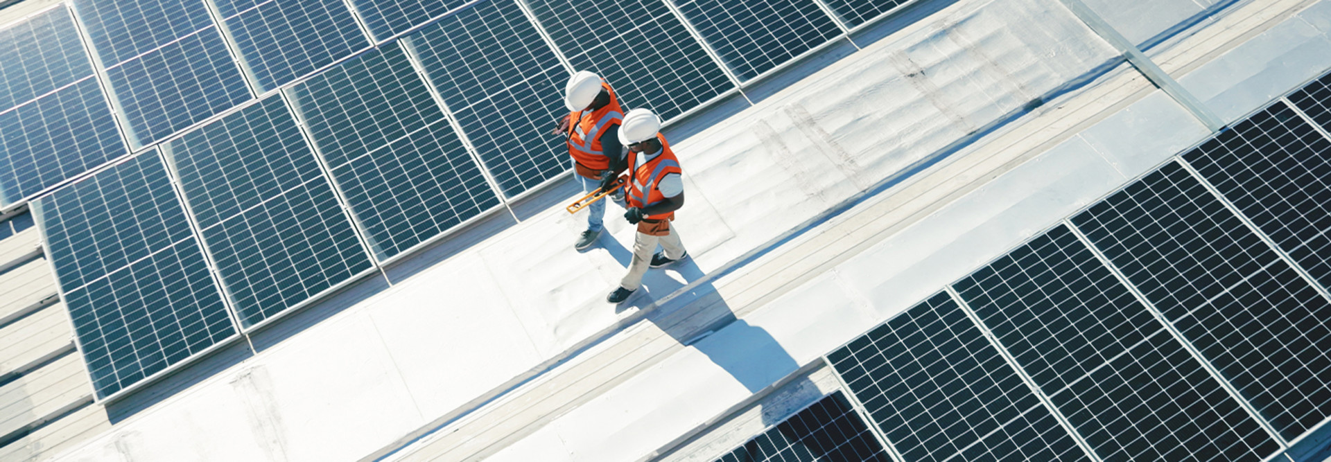 Solar panel team surveying