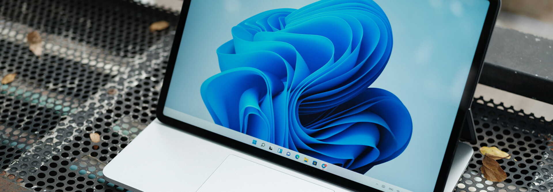 Windows 11
