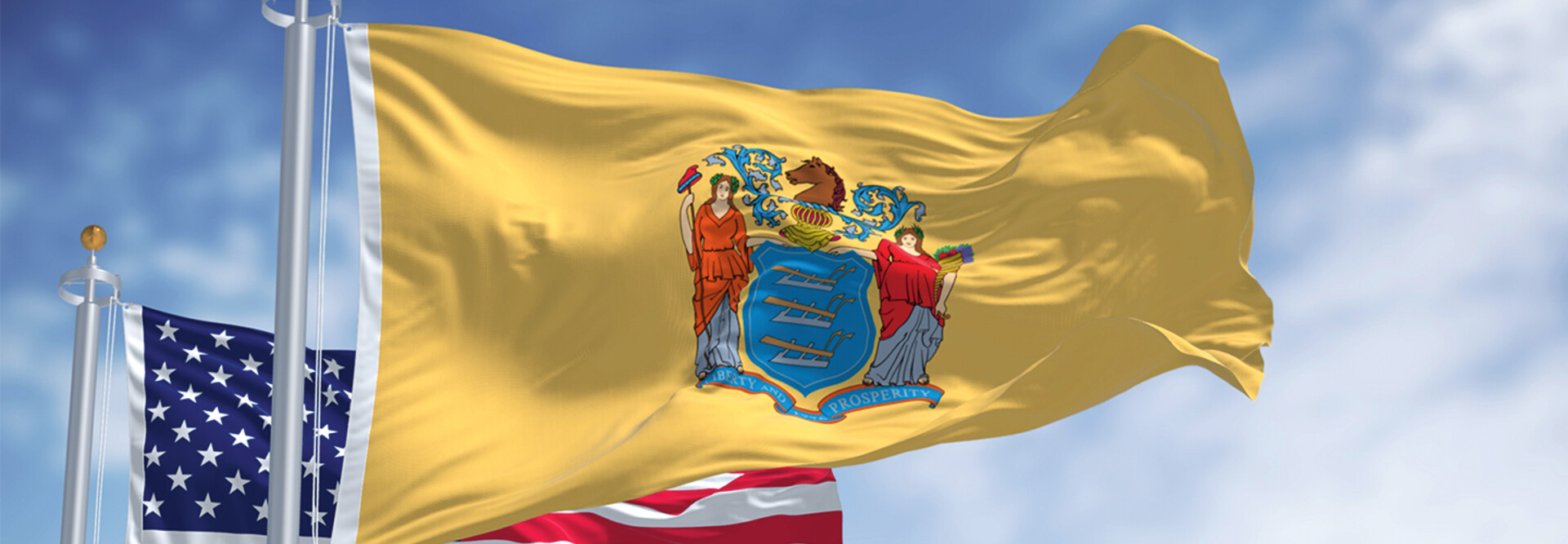 New Jersey Flag
