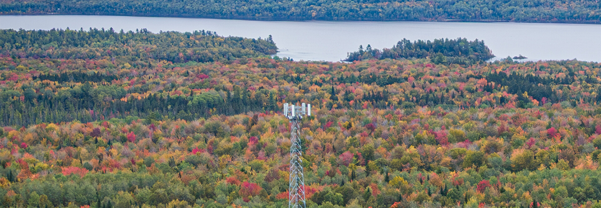 A cell tower in the Northeast helps bring coverage to a rural part of New England.
