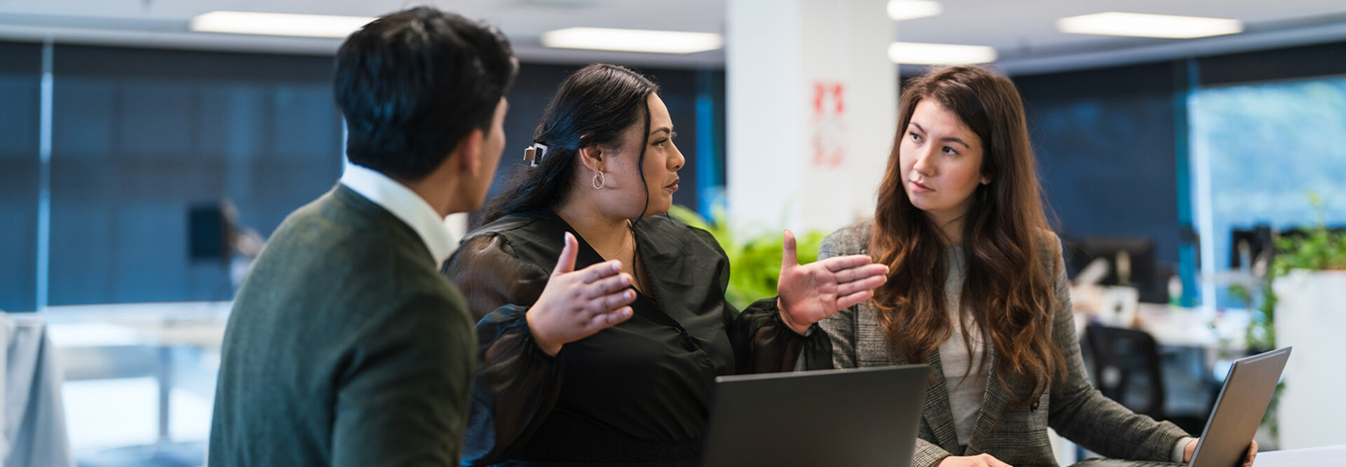 Coworkers collaborating