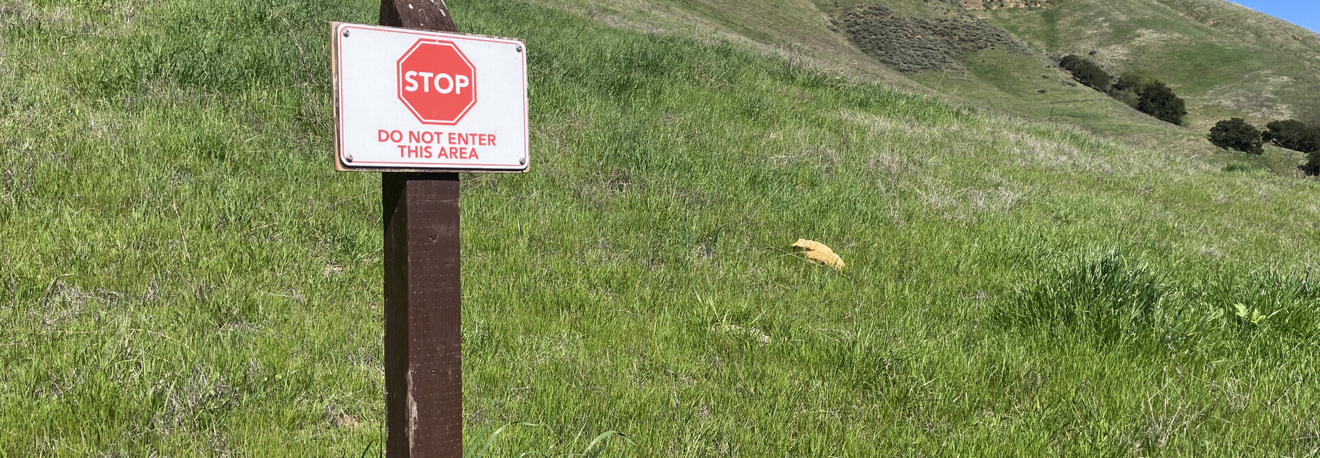 Environmental permitting