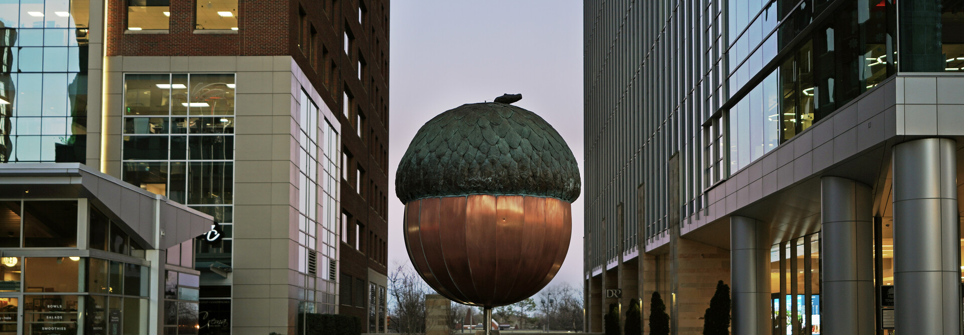 The Acorn, Raleigh