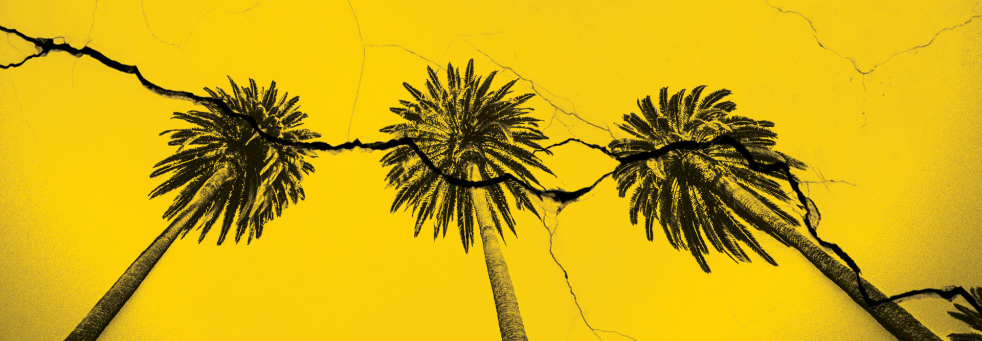 palm trees on cracked yellow background