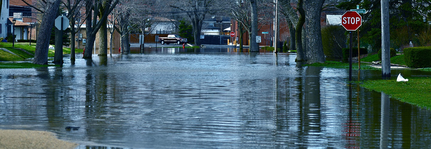 Suburban flood waters