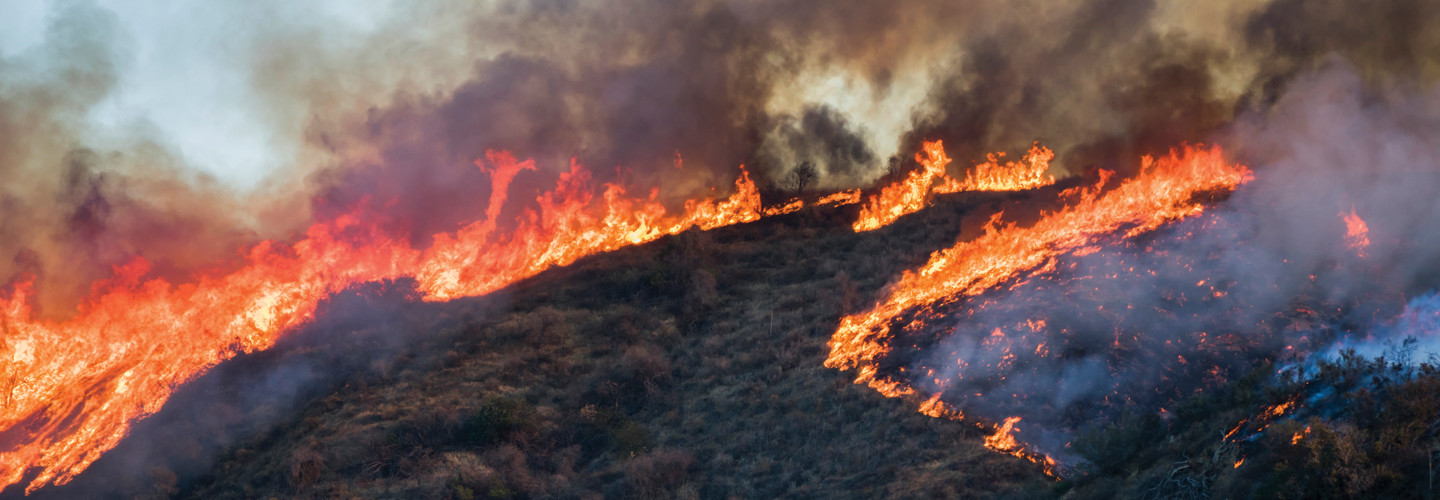 California wildfire 