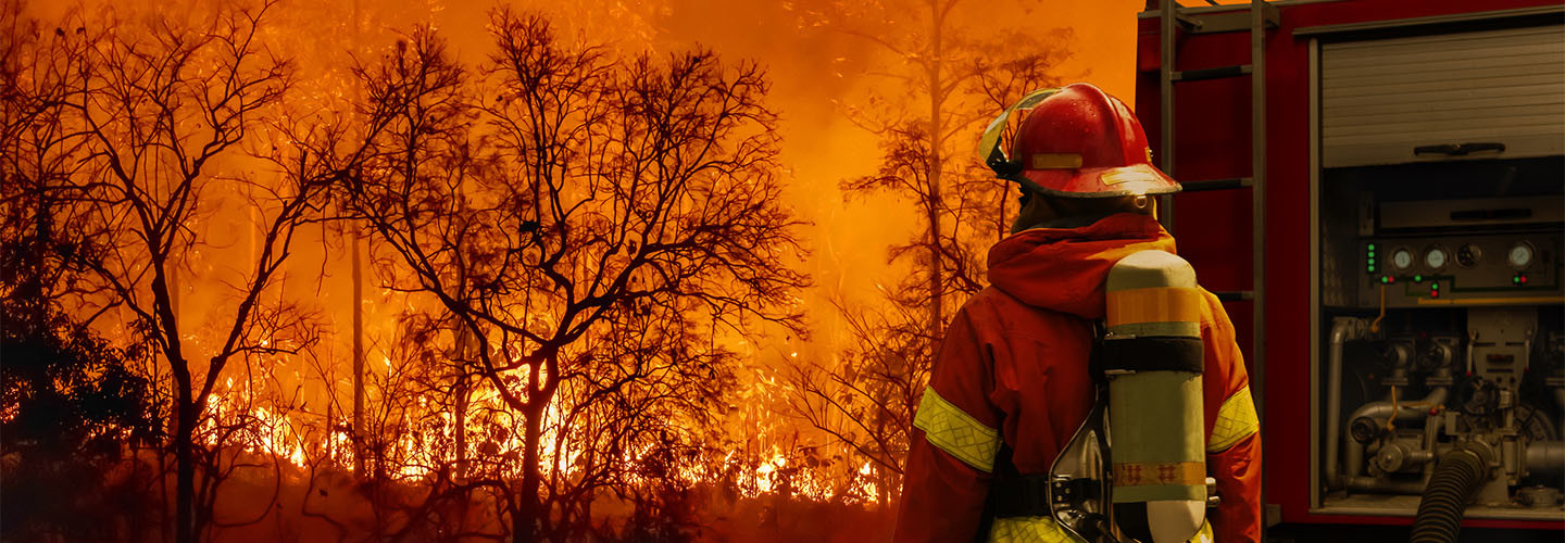 Firefighter observing a wildfire.