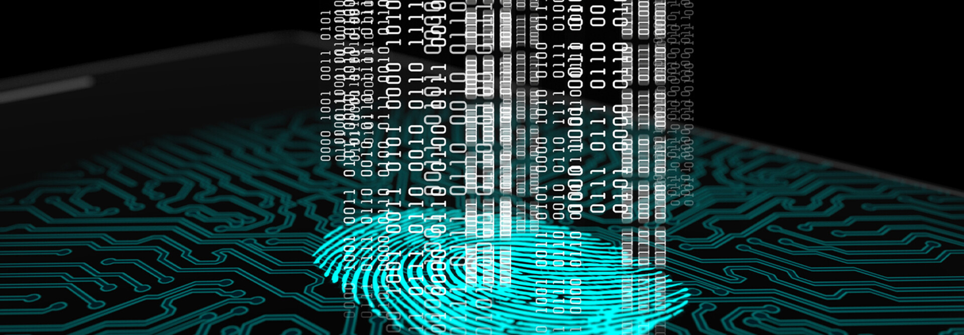 digital fingerprint security photo