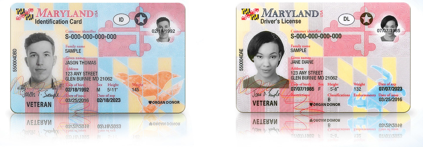free maryland drivers license template