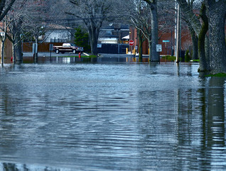 Suburban flood waters