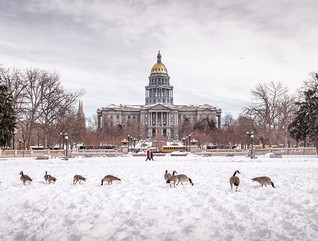 The Colorado State Capitol in Denver. 