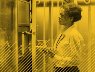 State and Local IT Investments 