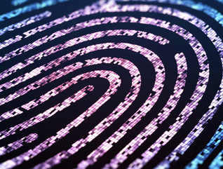 Conceptual fingerprint