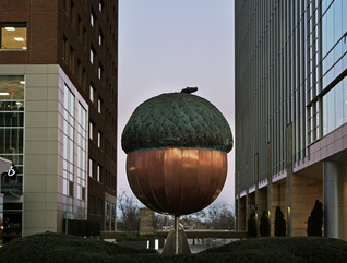 The Acorn, Raleigh