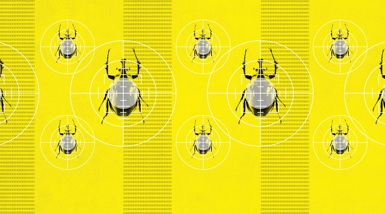 Beetles crawling up a yellow background