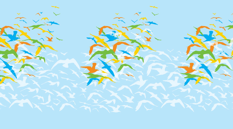 Windows 10 graphic 