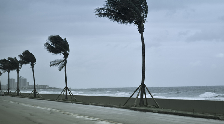 Hurricane off the coast of Florida 
