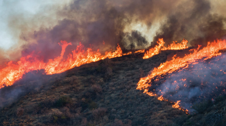 California wildfire 