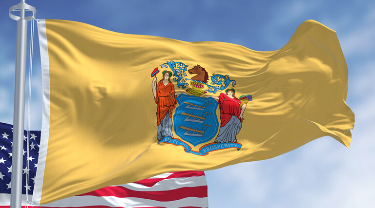 New Jersey Flag