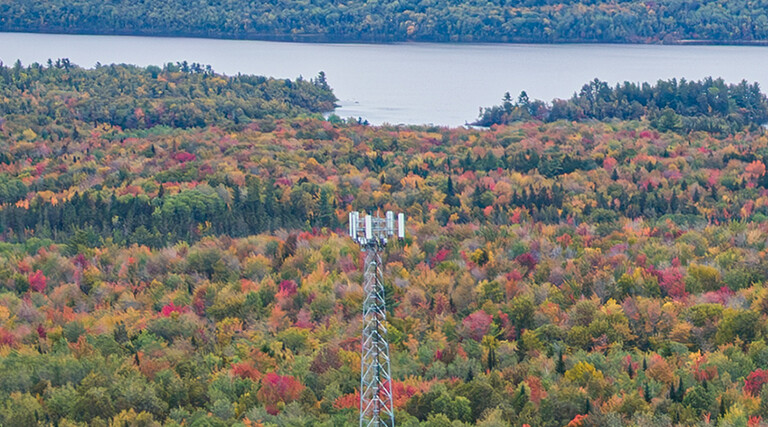 A cell tower in the Northeast helps bring coverage to a rural part of New England.