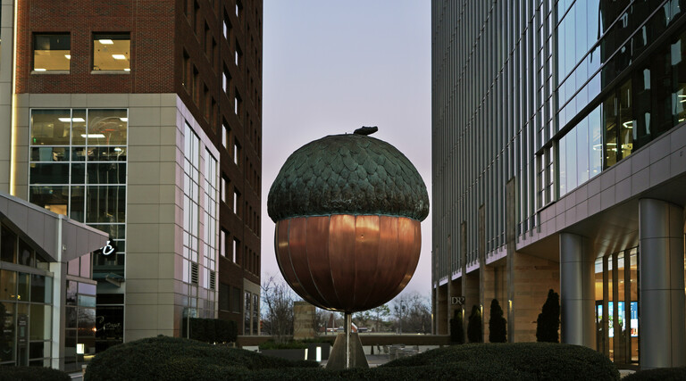 The Acorn, Raleigh