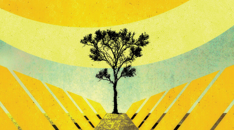 Illustration of a tree against a colorful background