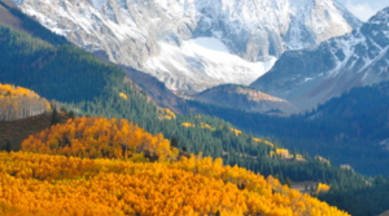 Colorado Is Saving $2 Million per Year with Google Apps