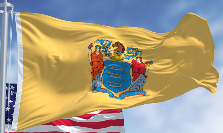 New Jersey Flag