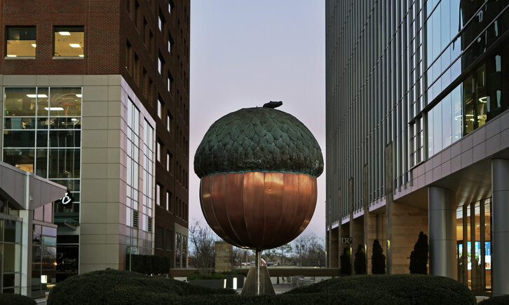The Acorn, Raleigh