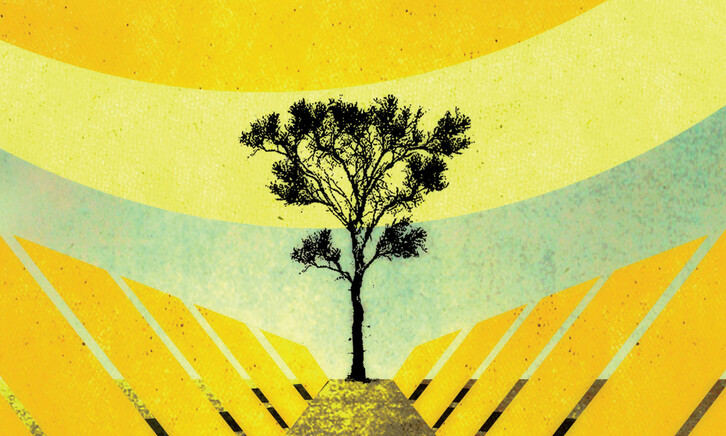 Illustration of a tree against a colorful background