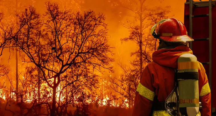 Firefighter observing a wildfire.