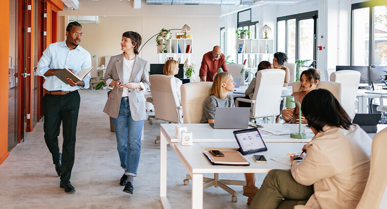 People working in the office