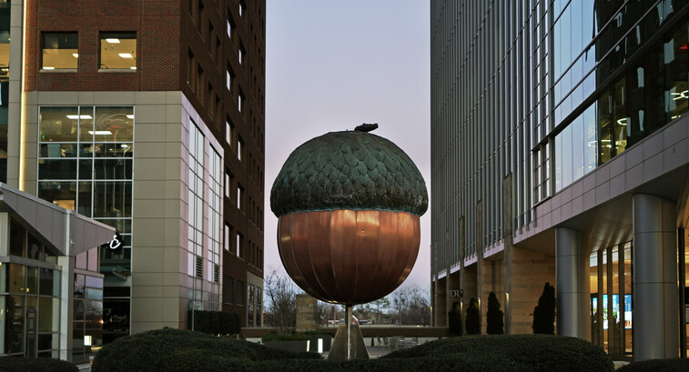 The Acorn, Raleigh