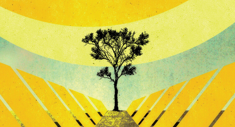 Illustration of a tree against a colorful background