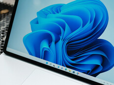 Windows 11