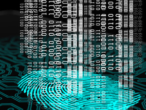 digital fingerprint security photo