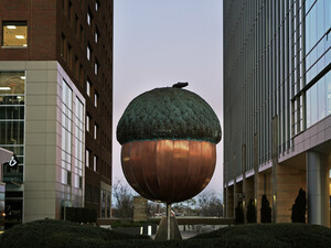The Acorn, Raleigh